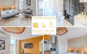 Mimosa Roanne Centre-Ville - Parking & Clim